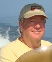 {short description of image}